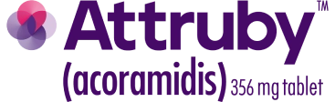 attruby logo